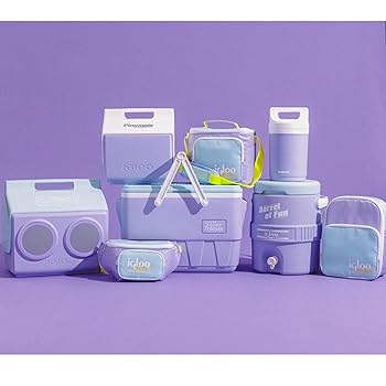 Igloo Lilac Breeze Retro Square Lunch Bag : Amazon.ca